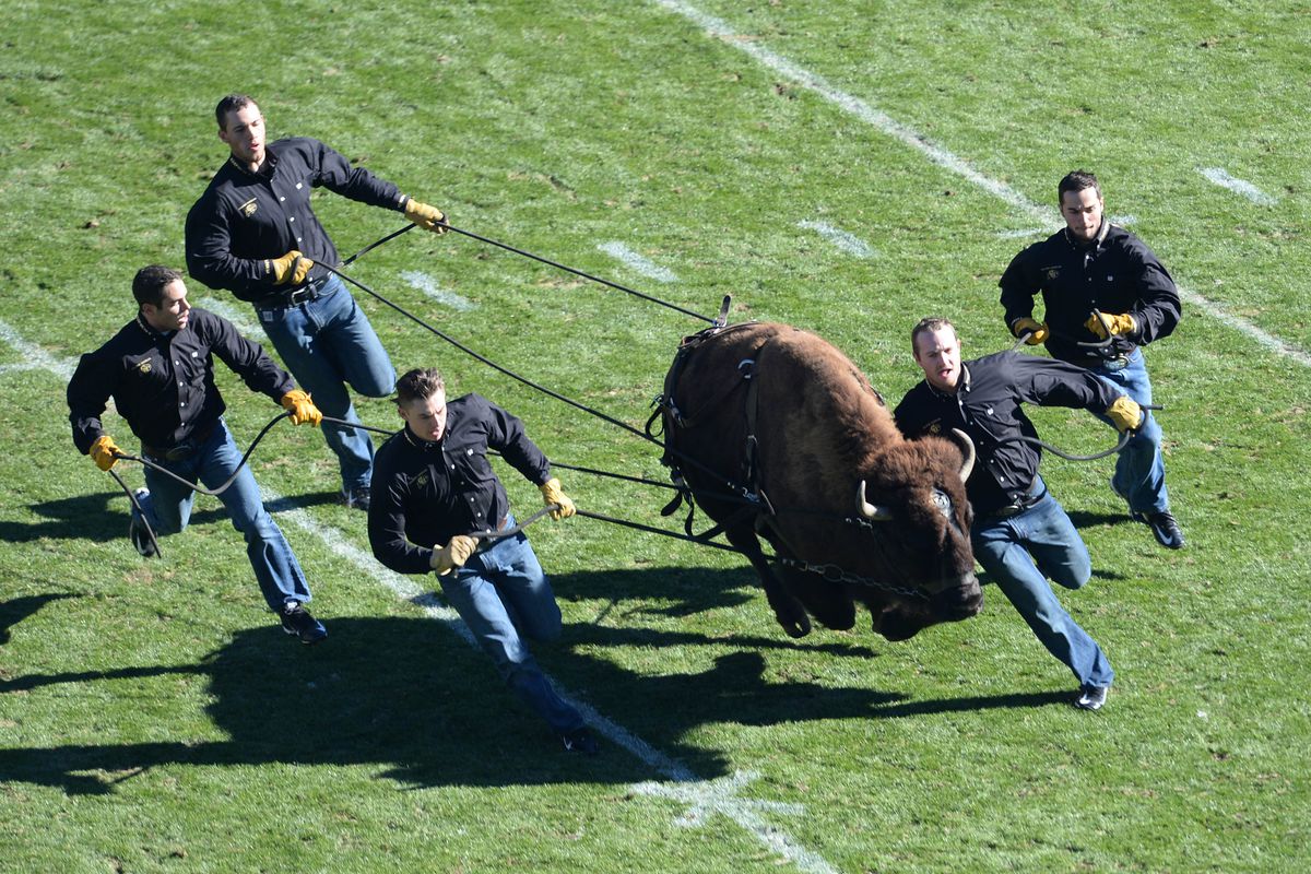 NCAA Football: Stanford at Colorado